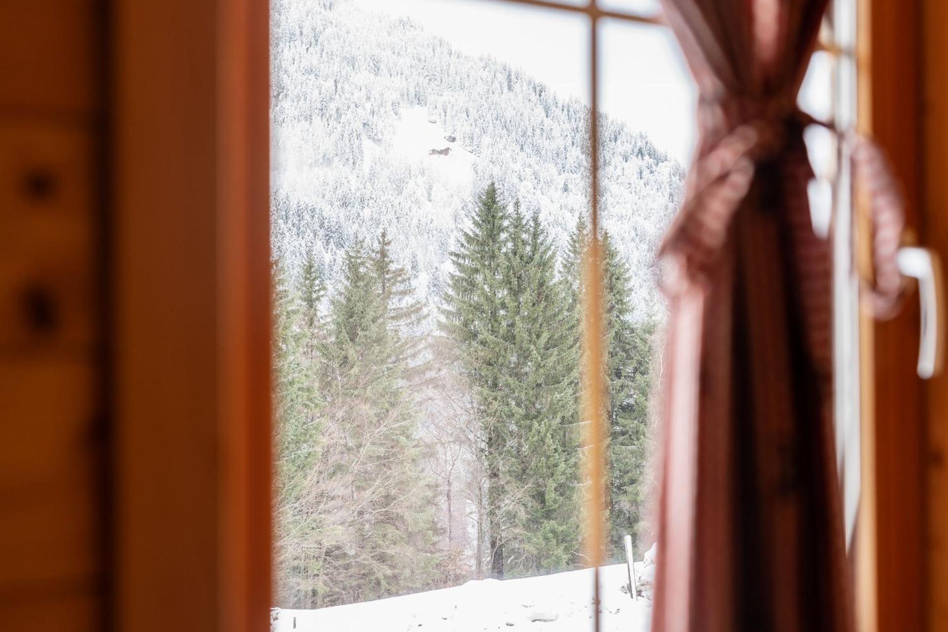 Neuberg Alm Villa Sankt Gallenkirch Luaran gambar