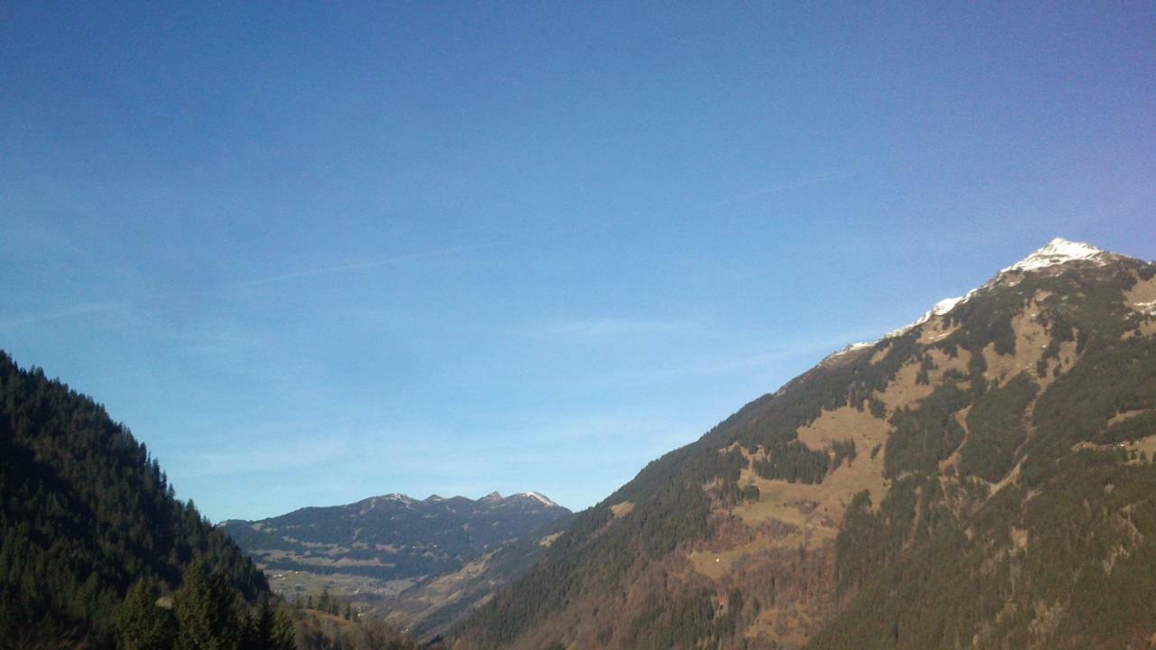 Neuberg Alm Villa Sankt Gallenkirch Luaran gambar