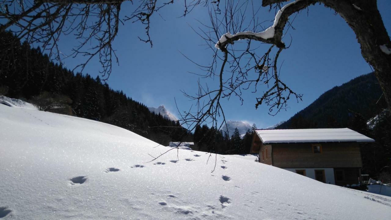 Neuberg Alm Villa Sankt Gallenkirch Luaran gambar